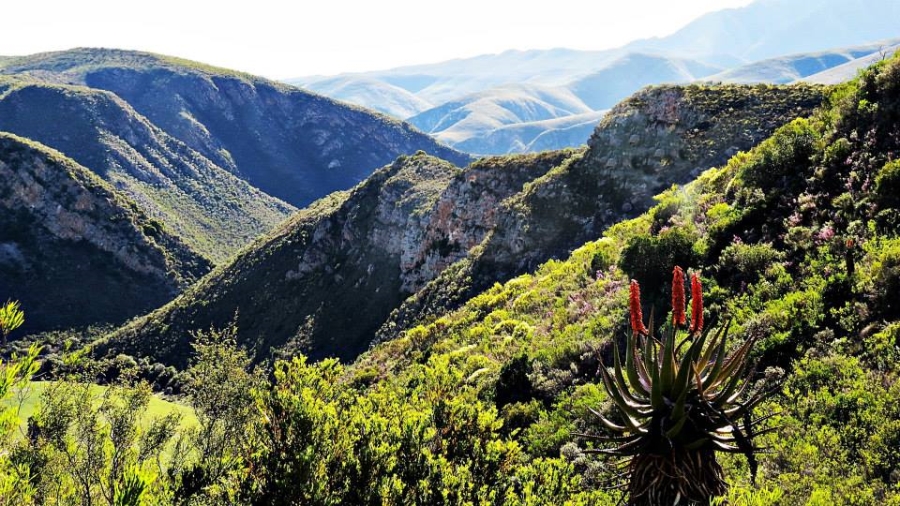 3 Bedroom Property for Sale in Joubertina Eastern Cape